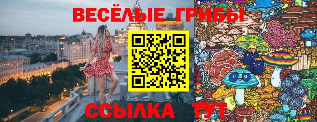 Марихуана  Вход с VPN  ГАШ  Камышин  МЕФ кристаллы  Меф  Гашиш 