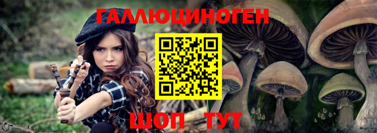 Псилоцибиновые грибы Psilocybine cubensis  купить наркотик  Камышин  Вход с VPN 